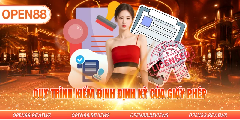 Quy trình kiểm định định kỳ của giấy phép 